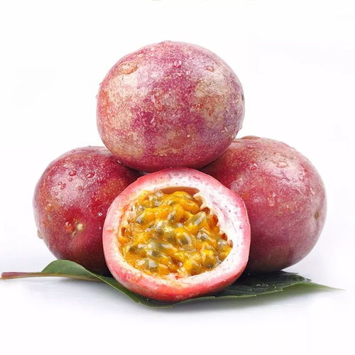 酸爽一夏 品甘雨亭台农一号百香果的天然美味