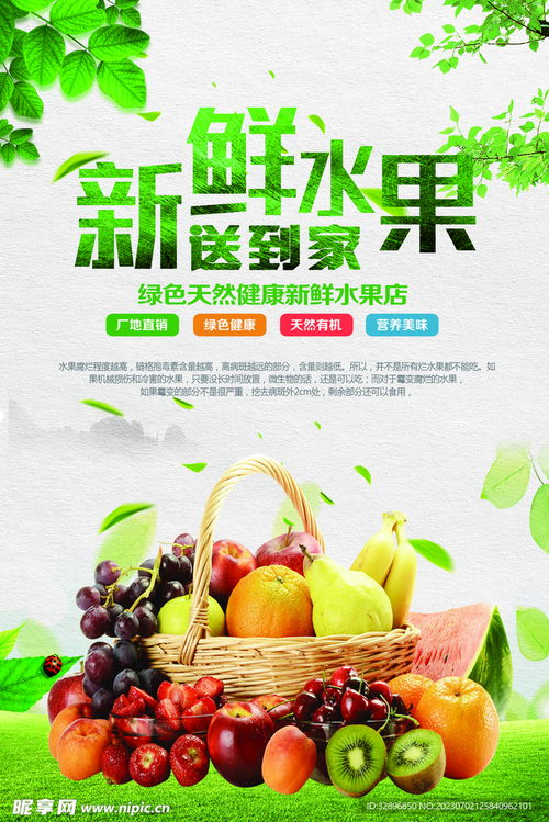 新鲜水果的设计美学 从果香到视觉的精致表达