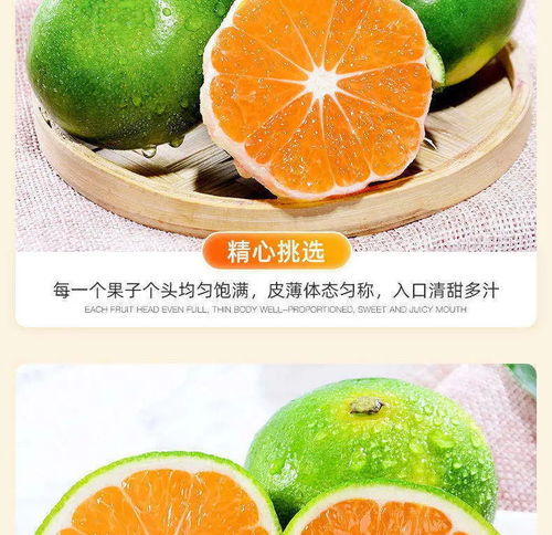 产地直发 当清晨第一箱“石门青皮蜜桔”来到你面前