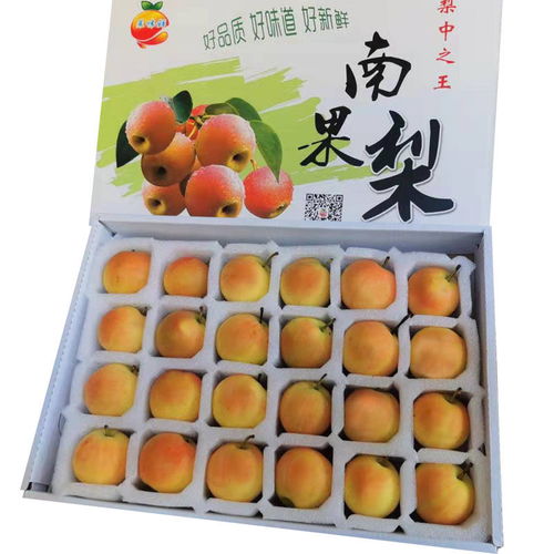 东北金秋之味 鞍山南果梨，5斤装包邮，香甜细皮，坏果包赔